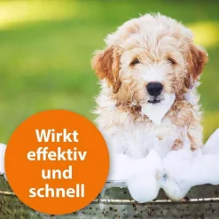 Online ARDAP Anti-Zecken Shampoo für Hunde, 250 ml
