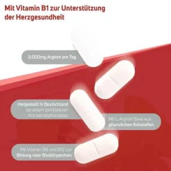 Avitale Aminosäuren|Vitamine Fürs Herz-Arginin plus Vitamin B1 + B6 + B12 + Folsäure Filmtabletten , 240 St