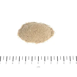 Canina Aufbau & Leistungssteigerung-Knoblauch Pulver für Hunde, 700 g