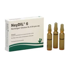 Best NeyDil ® Nr. 6 Revitorgan® D4 pro vet. Ampullen, 5X2 ml