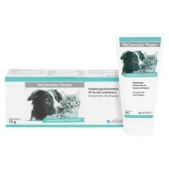 Aufbau & Leistung|Aufbau & Leistungssteigerung-Reconvales Power Vitaminpaste für Hunde / Katzen, 1X70 g