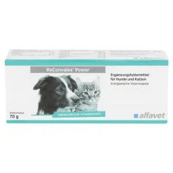 Aufbau & Leistung|Aufbau & Leistungssteigerung-Reconvales Power Vitaminpaste für Hunde / Katzen, 1X70 g