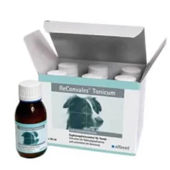 Alfavet Aufbau & Leistungssteigerung-Reconvales Tonicum für Hunde, 6X90 ml