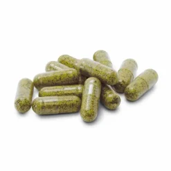 Dr. Jacobs Medical Grüner Tee|Resveratrol-Sulfoforte plus Dr. Jacobs Kapseln, 90 St